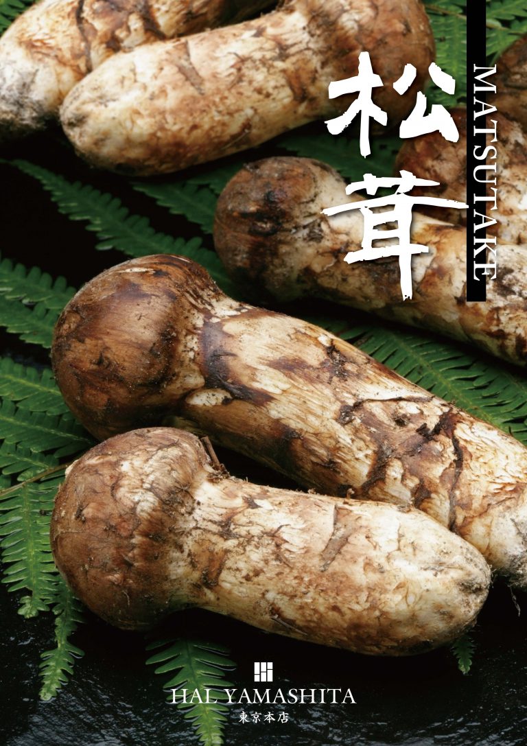 Autumn 2019 Matsutake Mushroom Season HAL YAMASHITA TOKYO